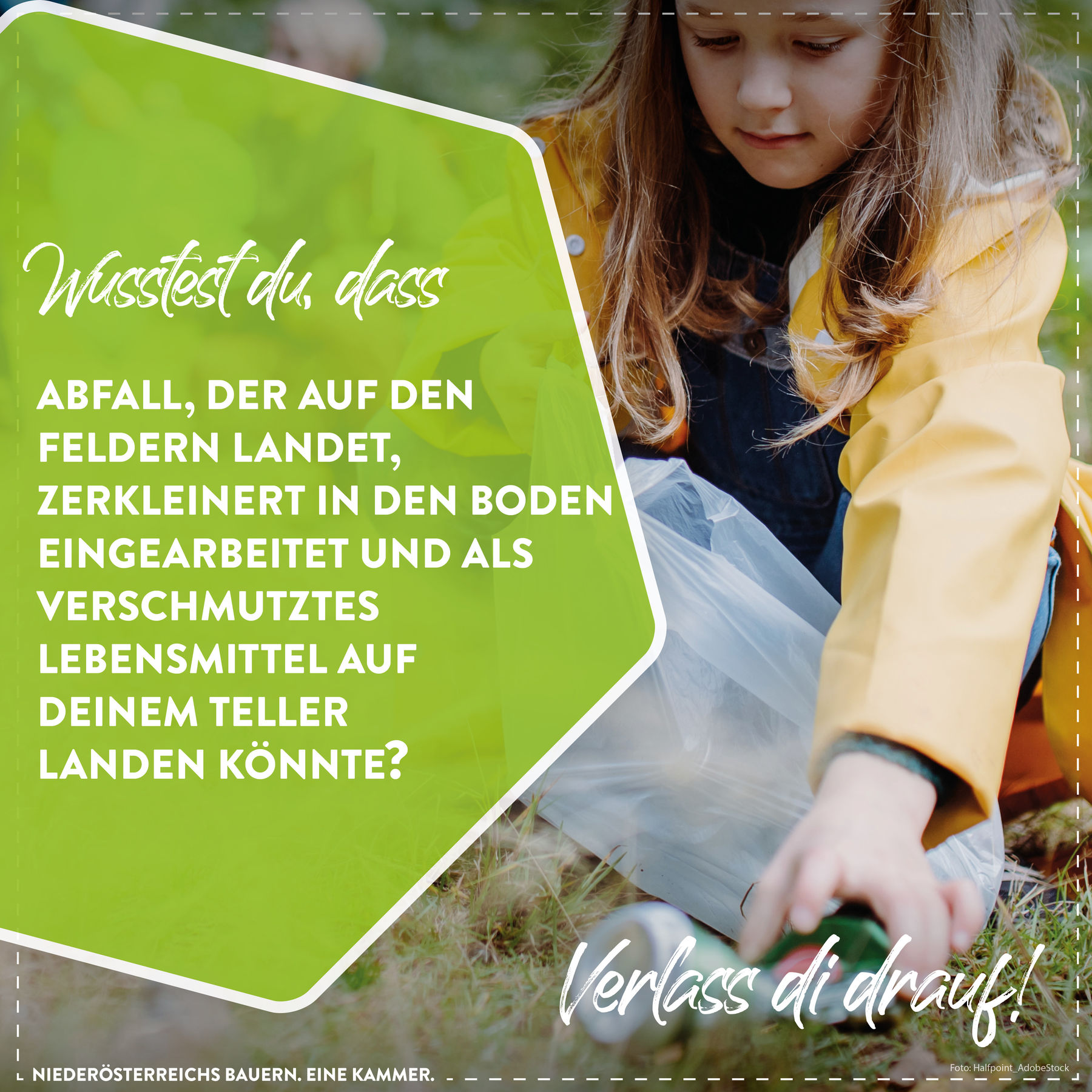 Posting Plogging2.jpg © LK Niederösterreich