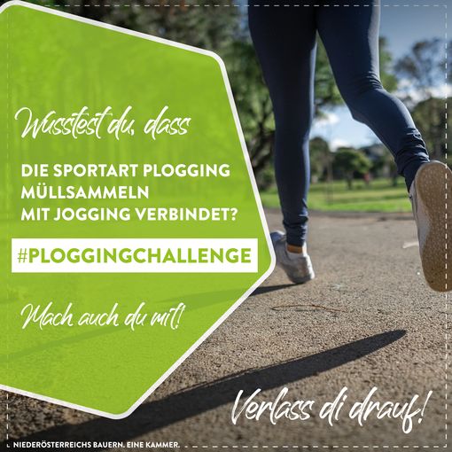 Posting Plogging3.jpg © LK Niederösterreich