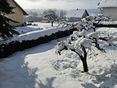 Obstbau mit Schnee © August Strasser