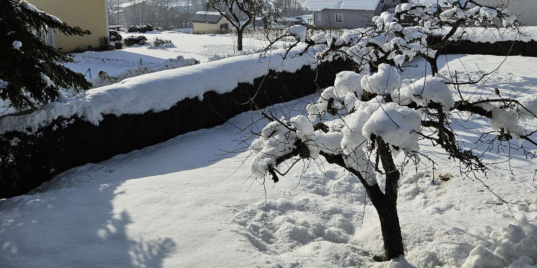 Obstbau mit Schnee © August Strasser