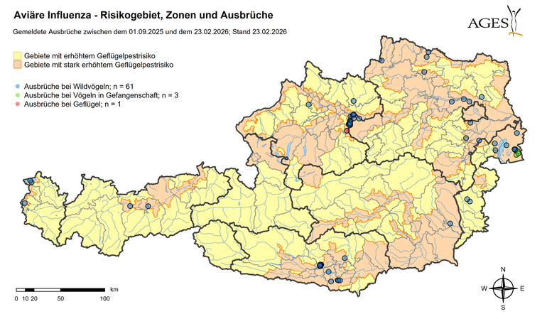 Geflügelpest Ausbrüche (Stand: 23.2.2026) © AGES