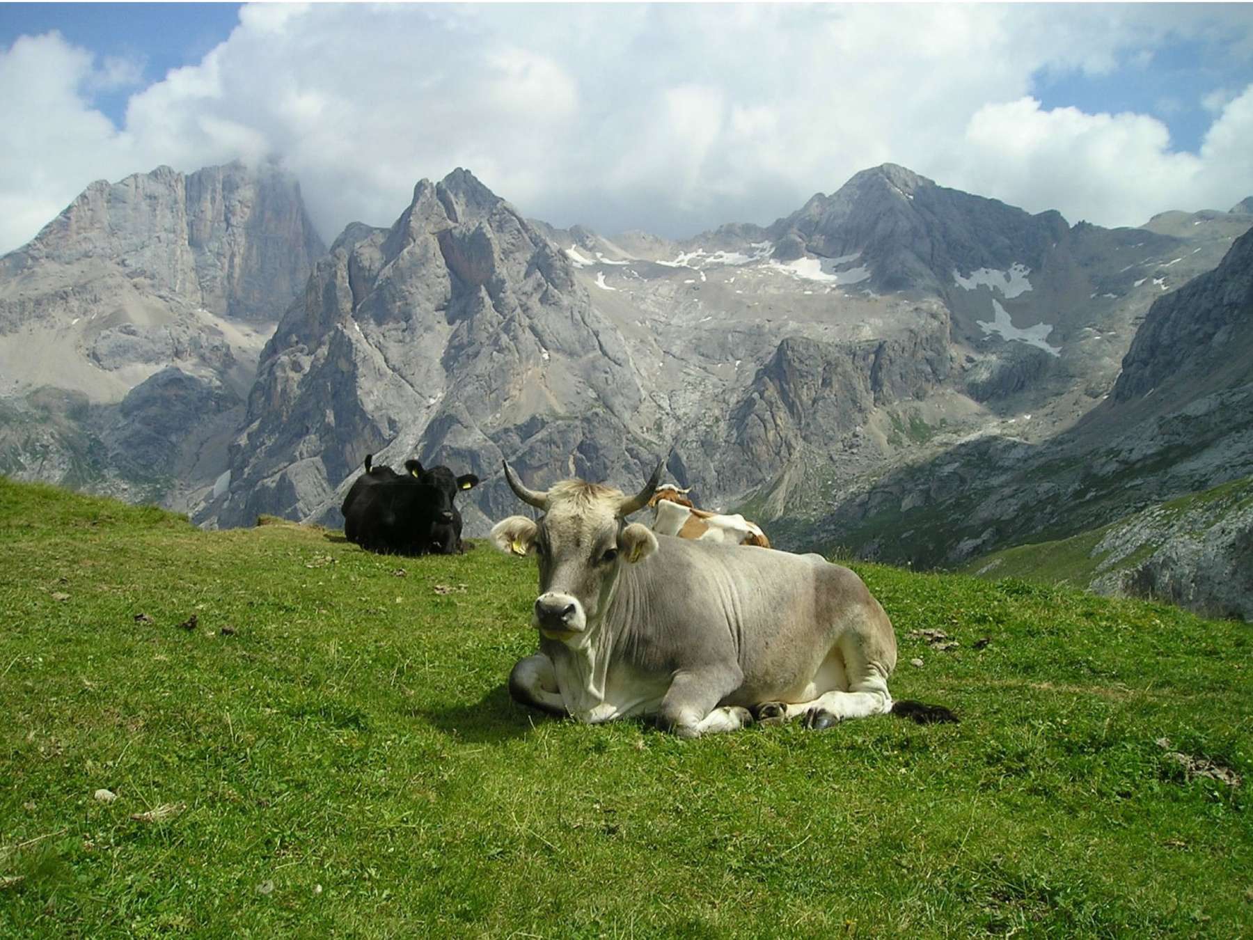 Futtermittel.jpg © agrVet