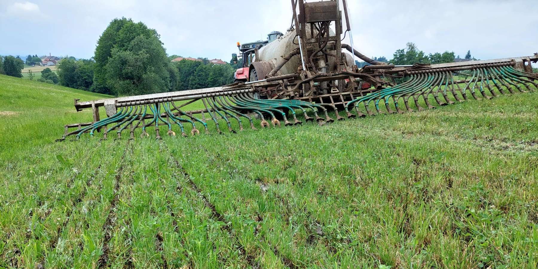 Gülleausbringung.jpg © BWSB/Wallner