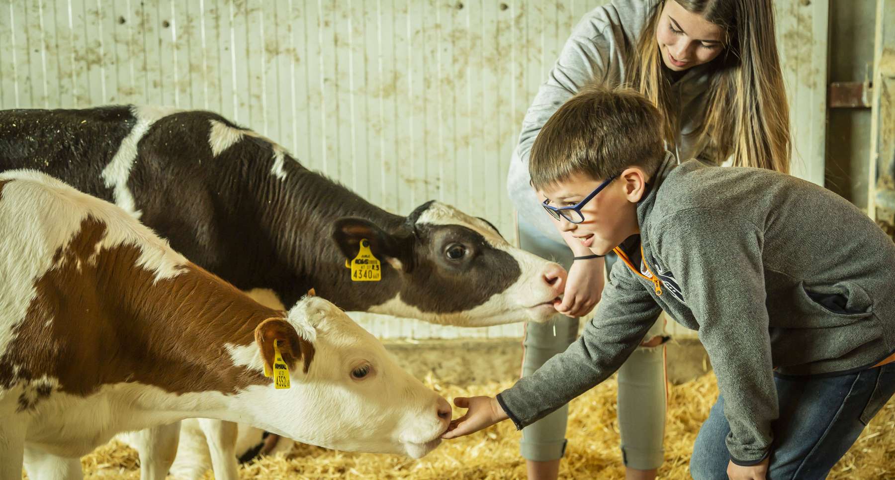Schule am Bauernhof.jpg © INBILD Anna Pailer