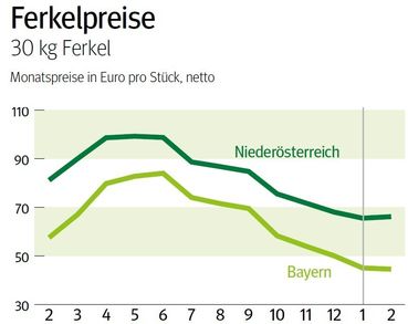 NÖ: Ausblick auf den Ferkelmarkt © LK NÖ
