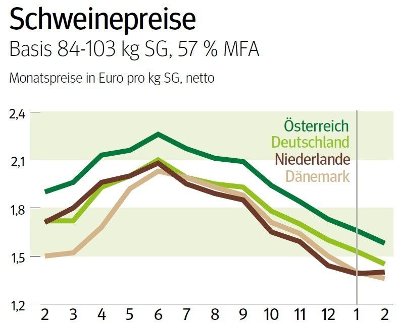 NÖ: Ausblick auf den Schweinemarkt © LK NÖ