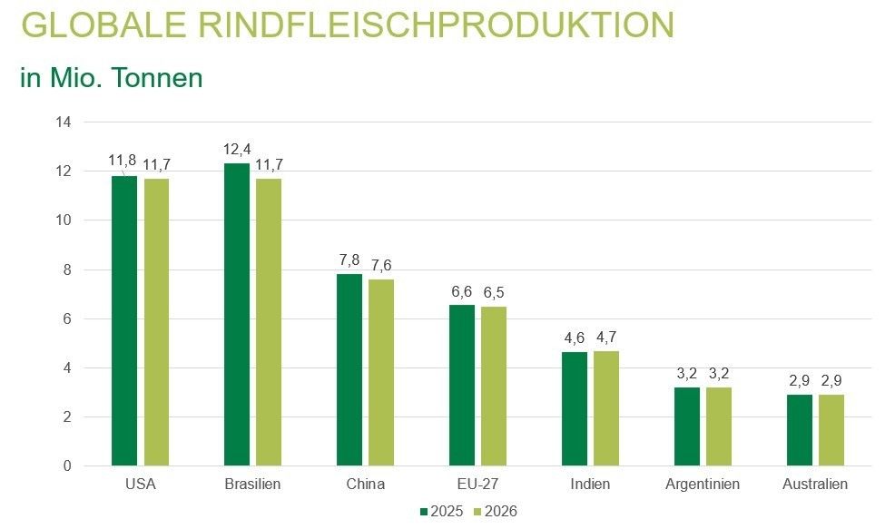 Grafik Globale Rindfleischproduktion_03_2026.jpg © LK NÖ