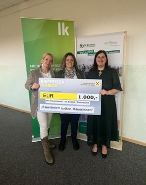 [1772098503932674.jpg]