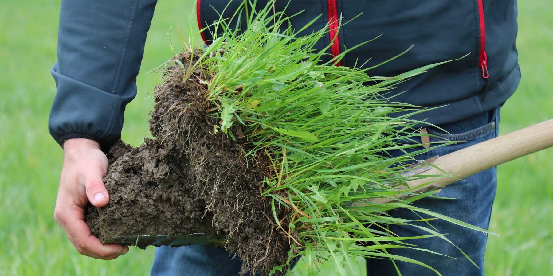 IMG_9248(c)Paula Pöchlauer-Kozel-LK Niederösterreich.jpg © Paula Pöchlauer-Kozel/LK Niederösterreich