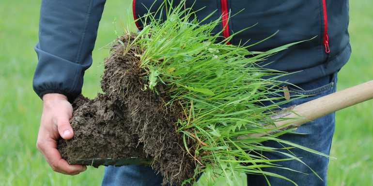 IMG_9248(c)Paula Pöchlauer-Kozel-LK Niederösterreich.jpg © Paula Pöchlauer-Kozel/LK Niederösterreich