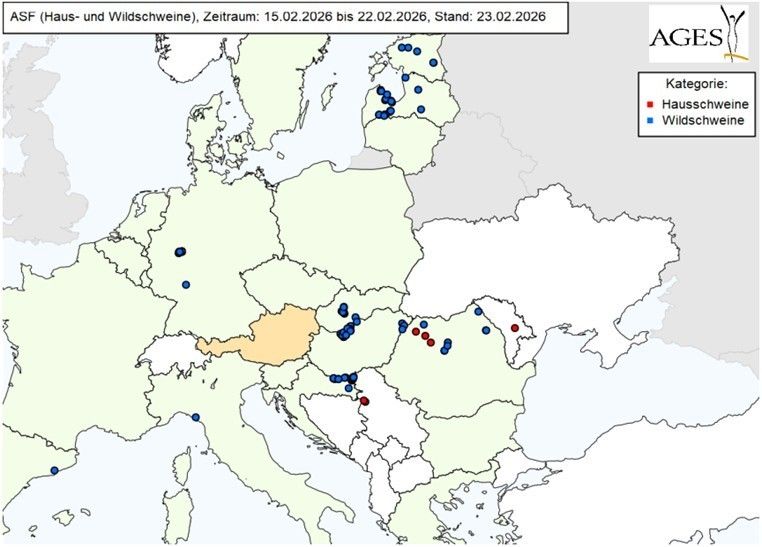 Meldungen Afrikanische Schweinepest seit 15.02.2026.jpg © Archiv