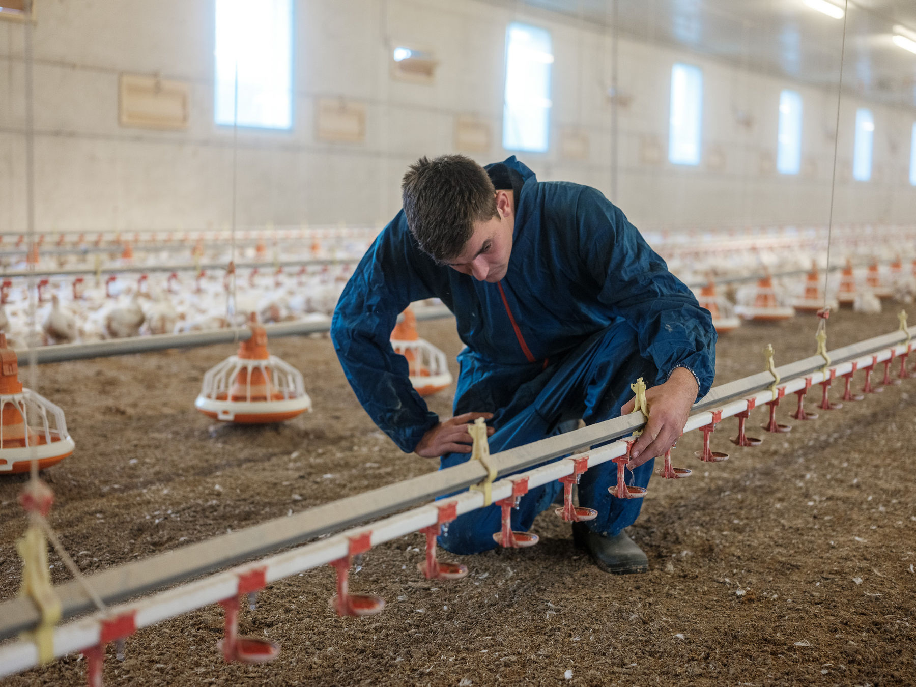Geflügellandwirt überprüft Tränkelinie © AMA