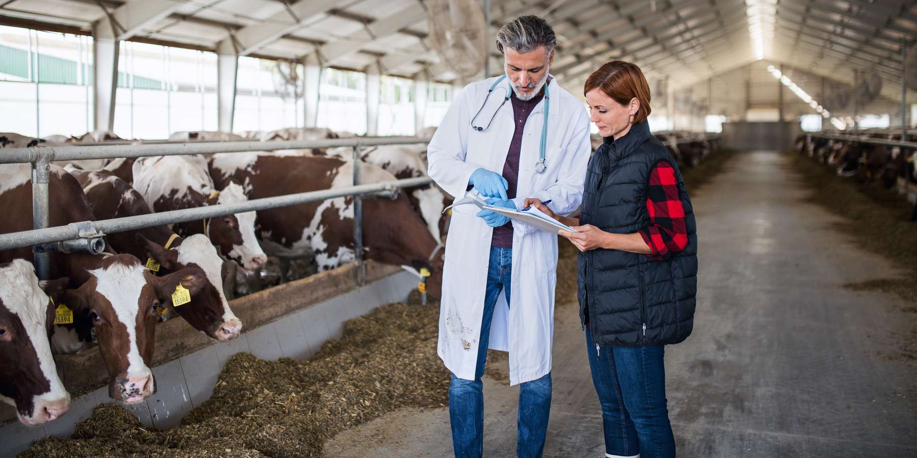 Tierarzt © Adobe Stock