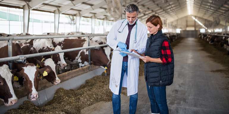 Tierarzt © Adobe Stock