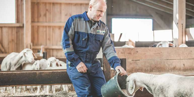 Schafstall © Sascha Pseiner