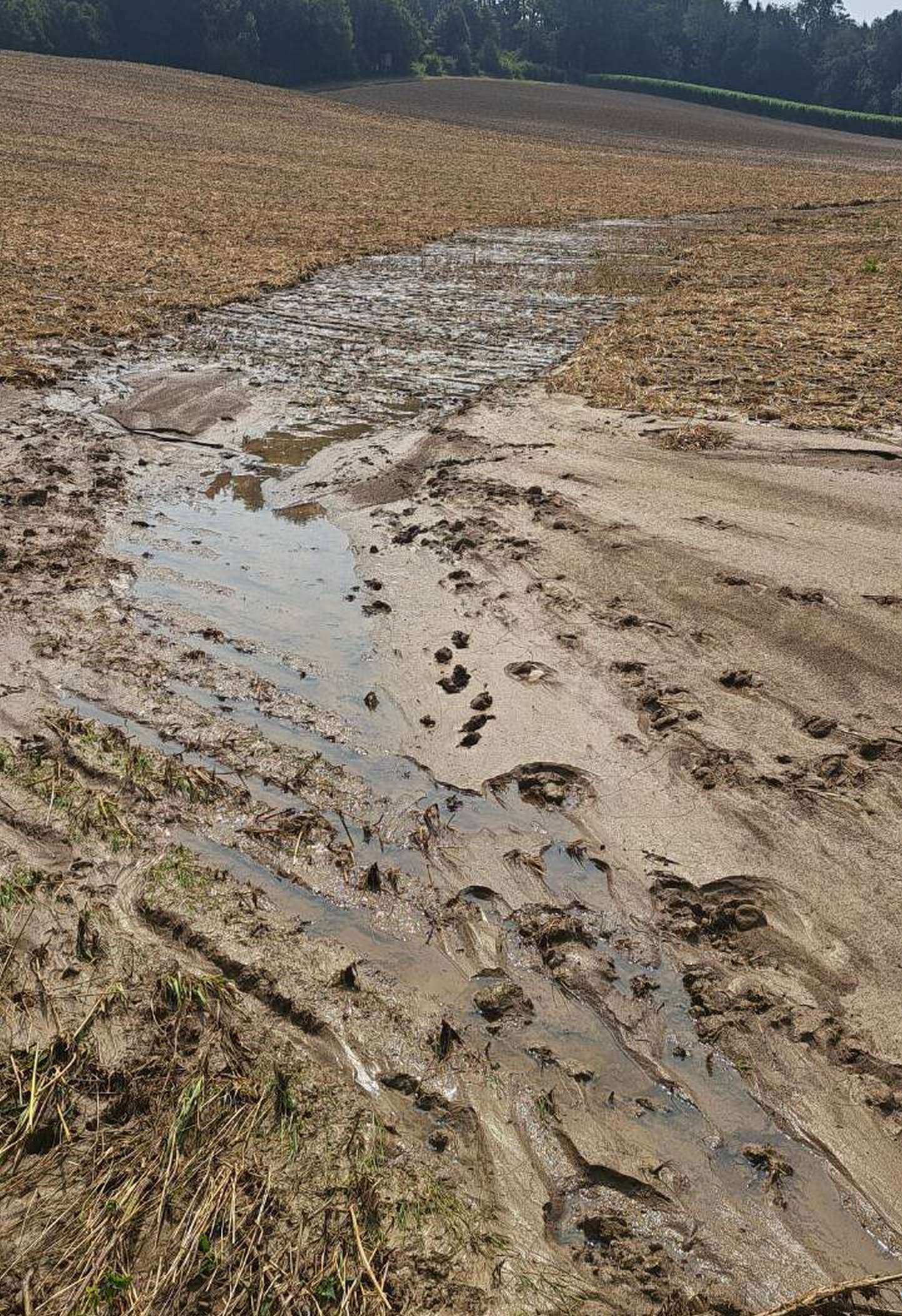 Erosionsereignis.jpg © Anna Radlmair