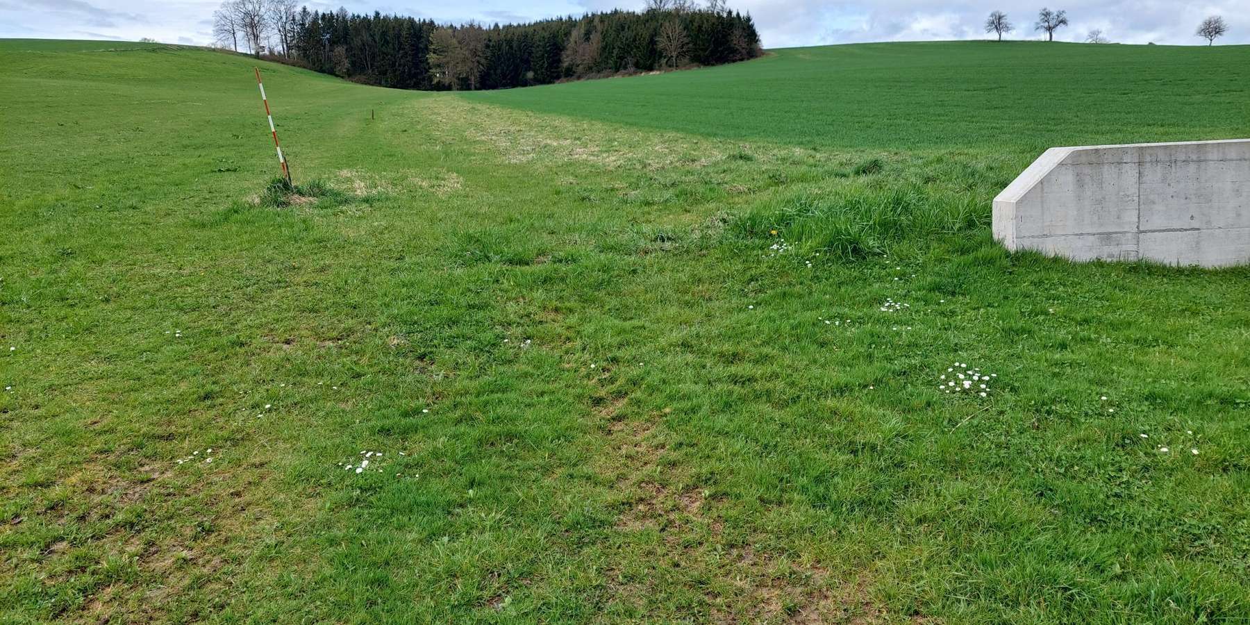 Begrünter Abflussweg.jpg © BWSB/Wallner