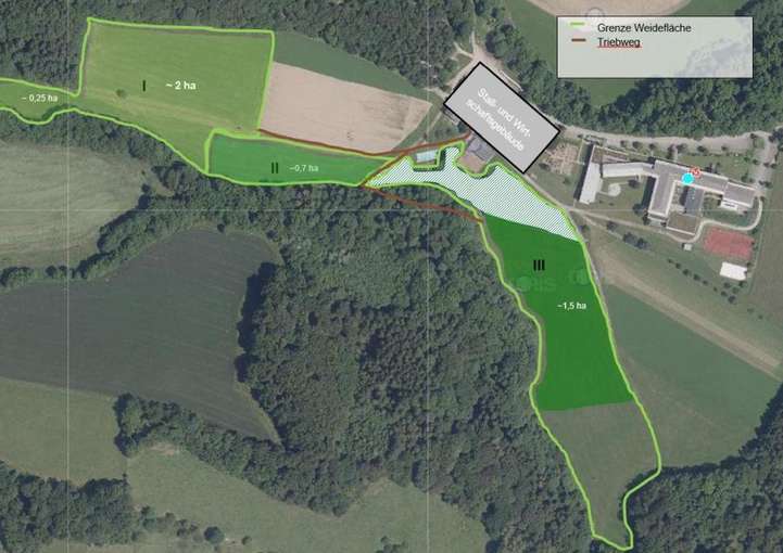 LK-Beratungsangebot Weidekonzept.jpg © LK OÖ / Rudlstorfer