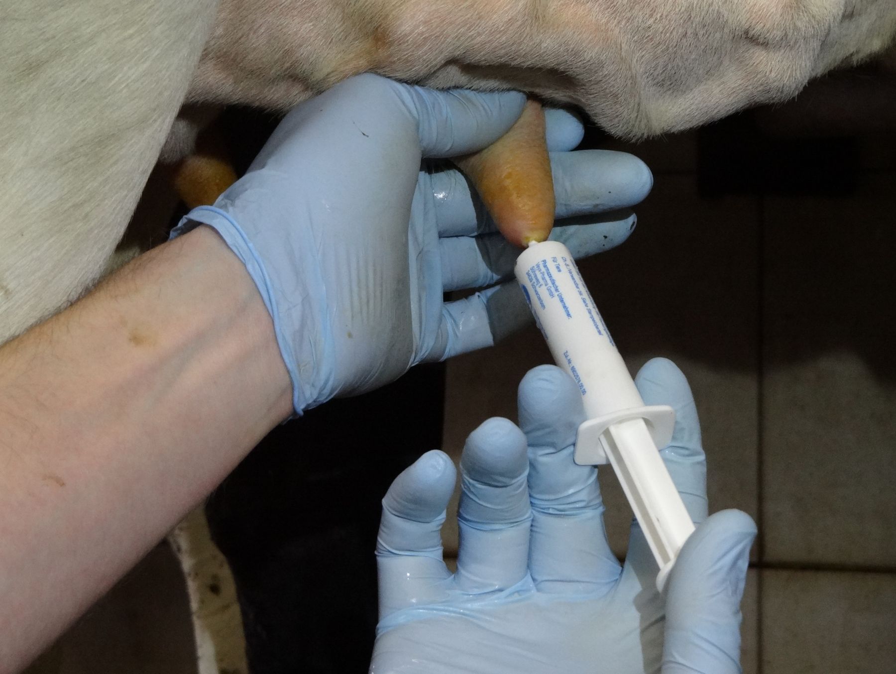 Eutertube1.jpg © LK OÖ