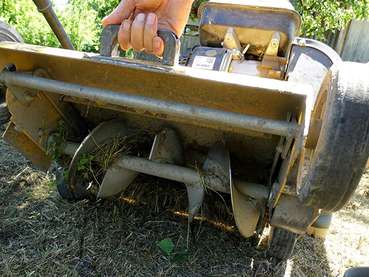 Hobelschnecke.jpg © O. Alge