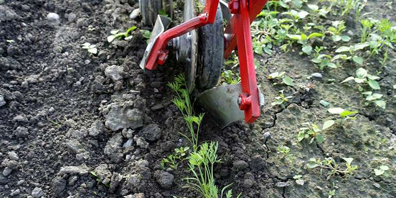 Ottos Freischaber.jpg © O. Alge