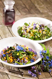 116.jpg © Fotos aus den Büchern von Elisabeth Mayer