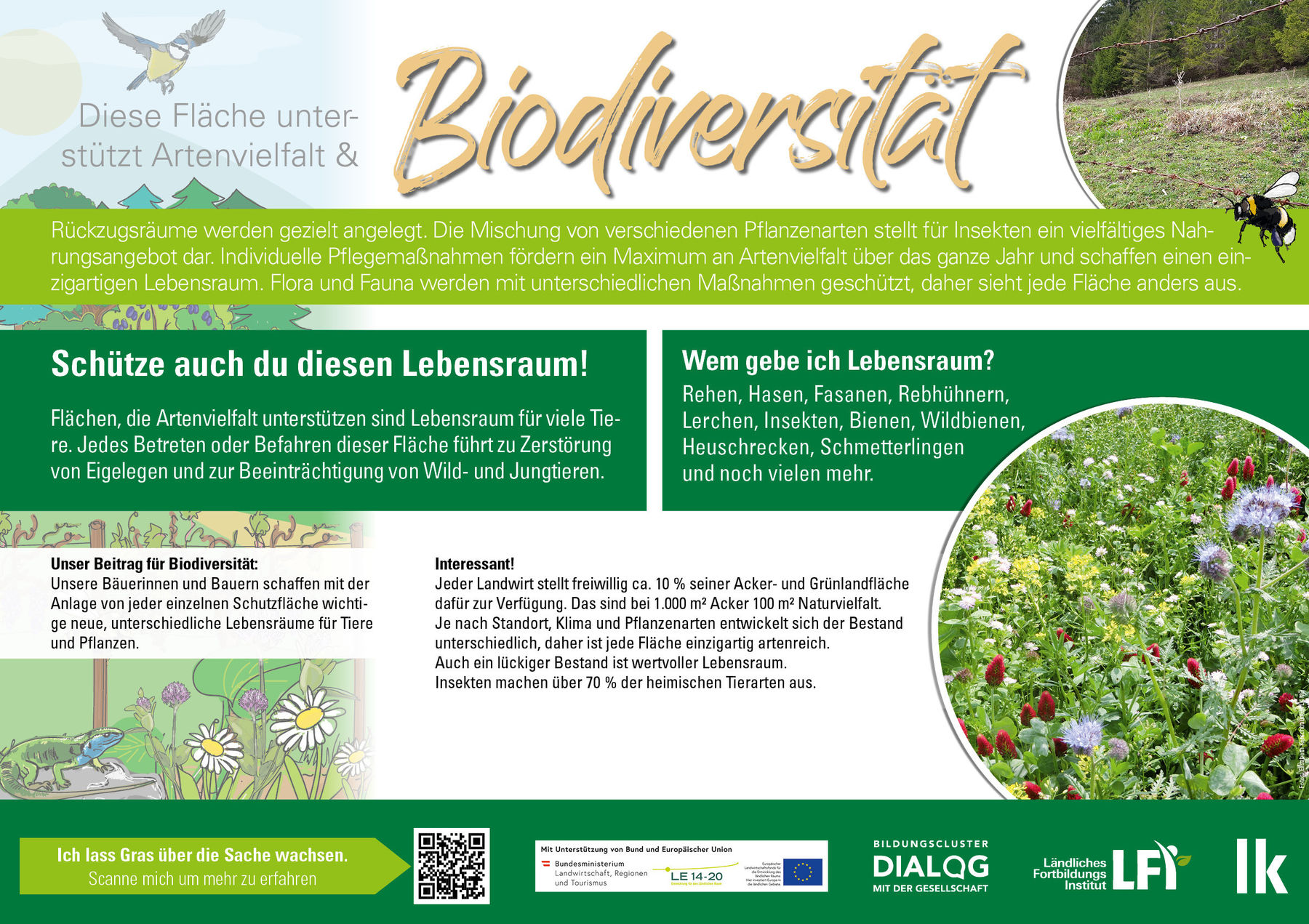 Biodiversitaet_Feldtafel(c)LK Niederösterreich.jpg © LK Niederösterreich
