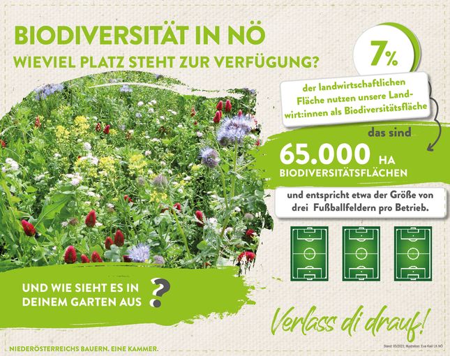 Biodiversitätsfläche in NÖ_2023(c)LK Niederösterreich.jpg © LK Niederösterreich