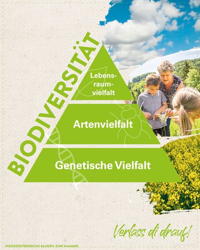 Biodiversitätspyramide(c)LK Niederösterreich.jpg © LK Niederösterreich