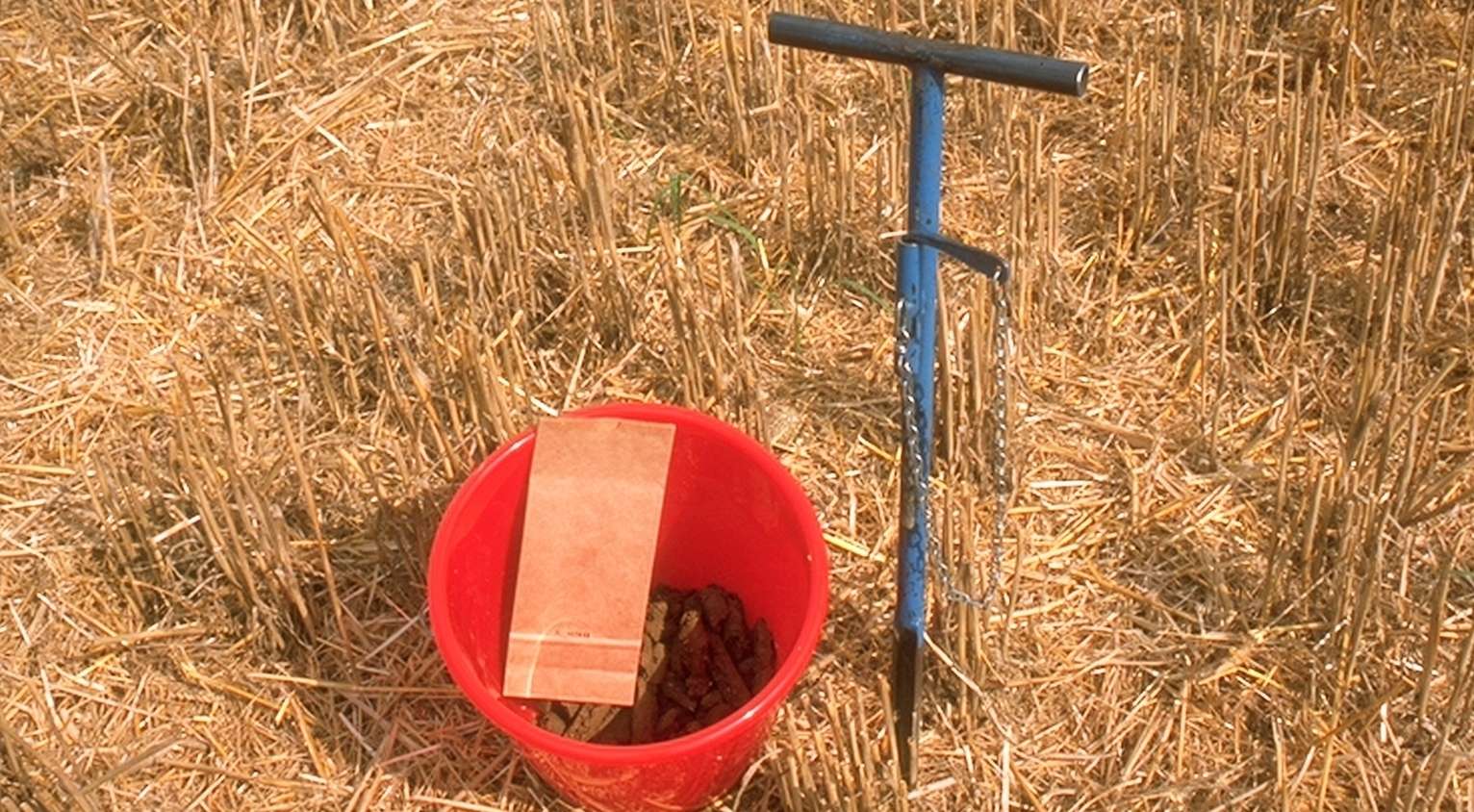 Bodenuntersuchung.jpg © BWSB/Hölzl