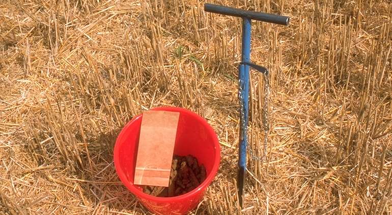 Bodenuntersuchung.jpg © BWSB/Hölzl