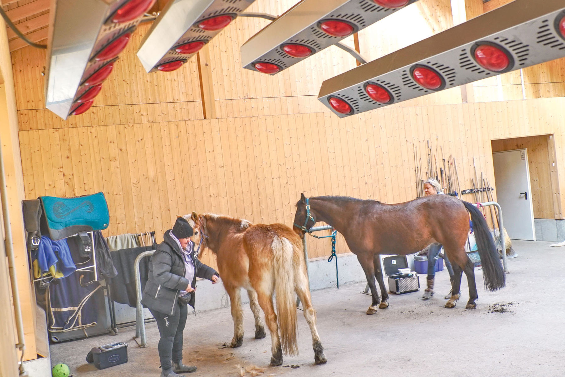 Nach den natürlichen Bedürfnissen der Tiere gebaut.jpg © Hatheier
