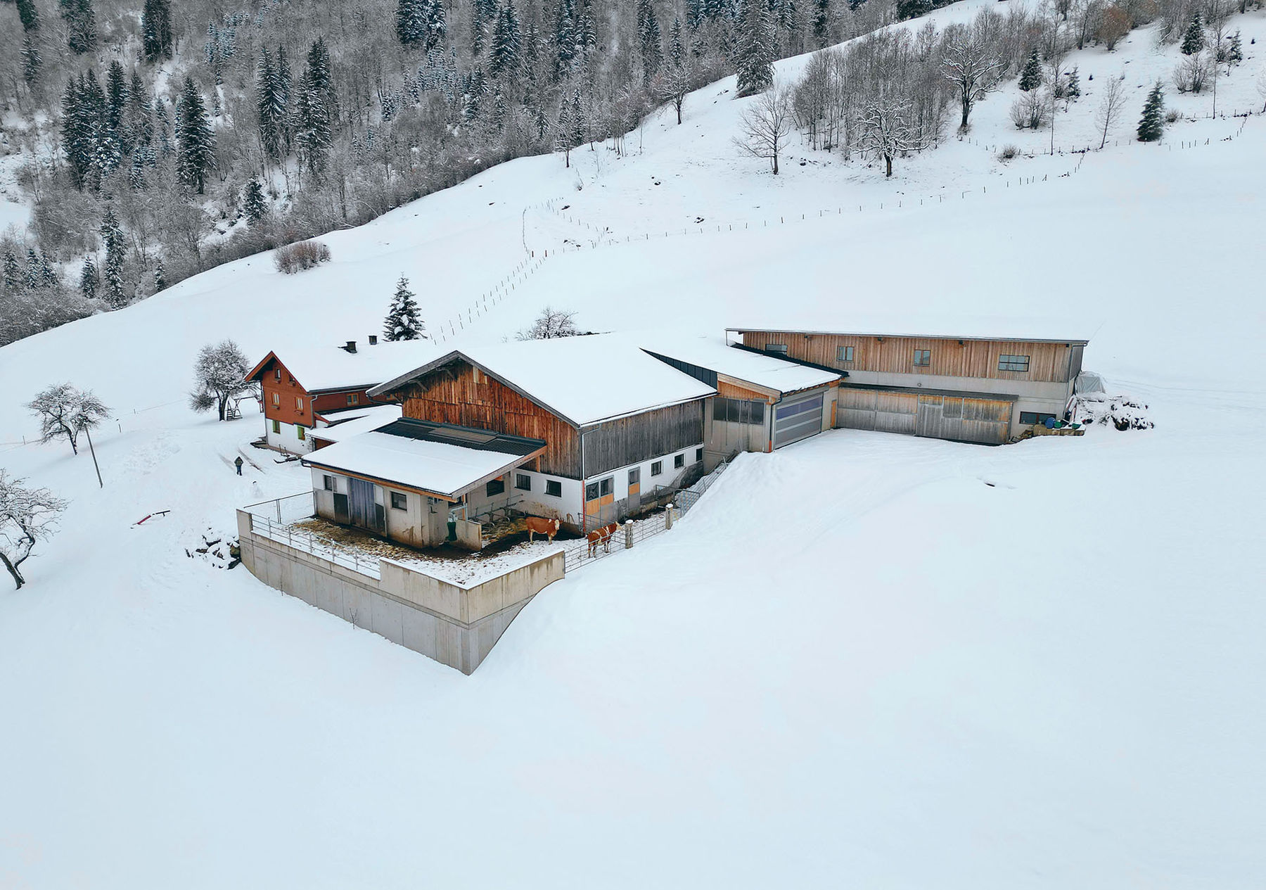 Der Stall, der für Familie Schwab einfach perfekt ist.jpg © Mooslechner