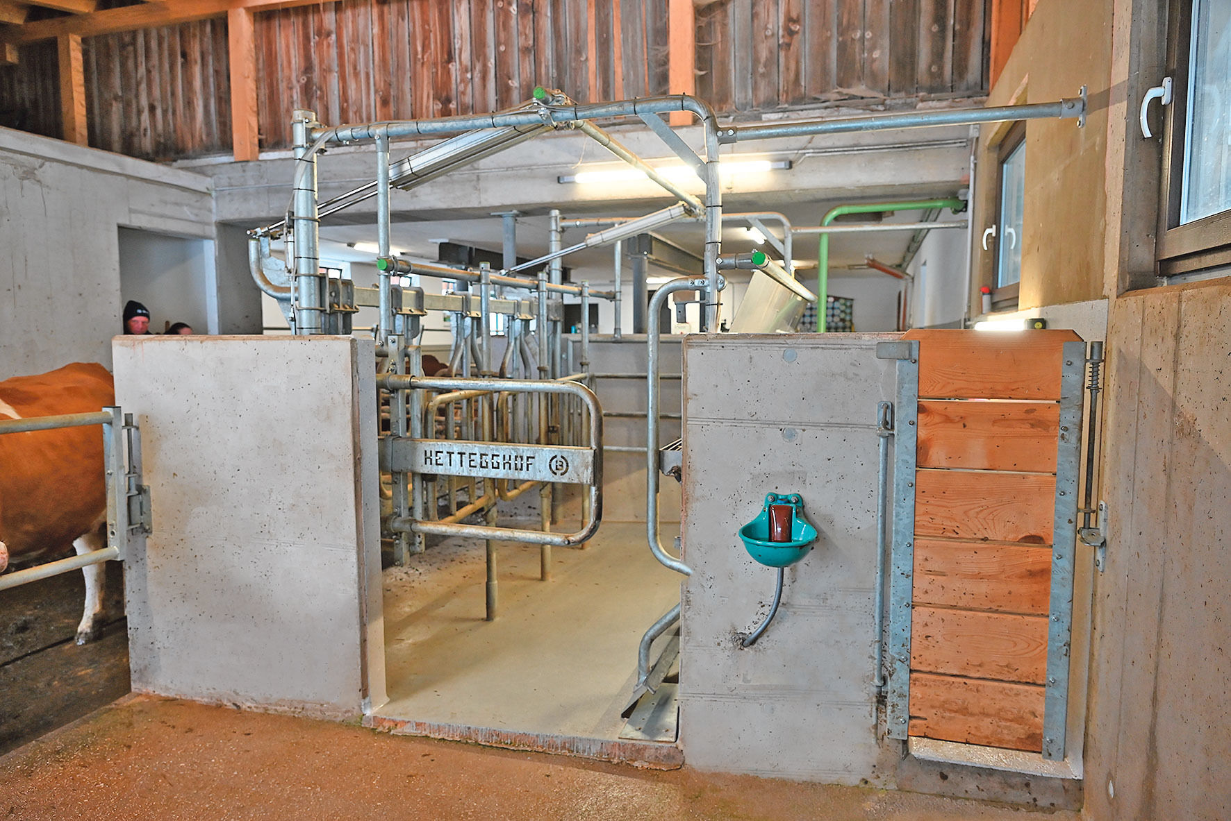 Der Stall, der für Familie Schwab einfach perfekt ist.jpg © Mooslechner