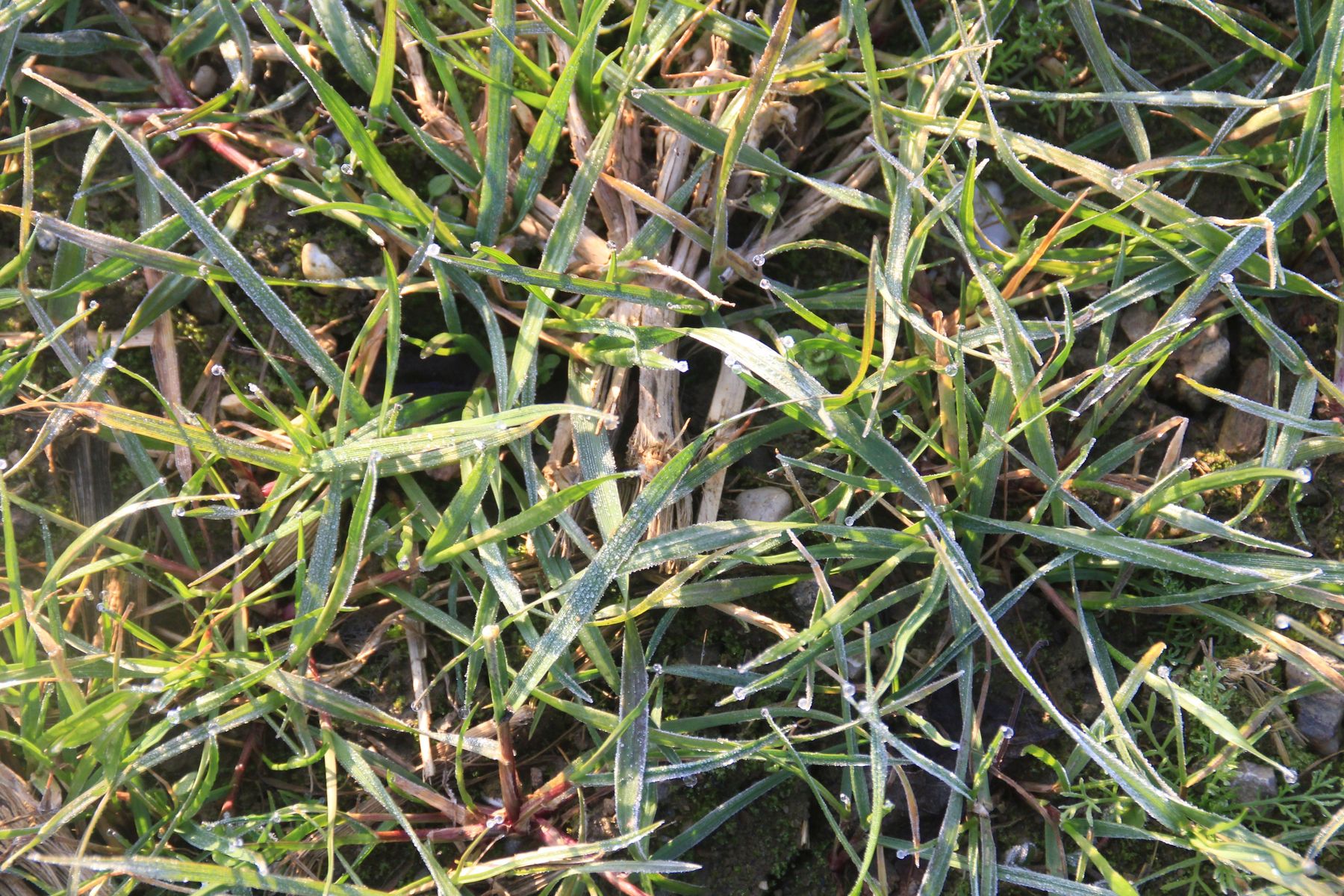 IMG_0431.jpg © Archiv