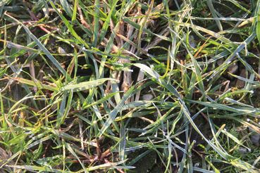 IMG_0431.jpg © Archiv