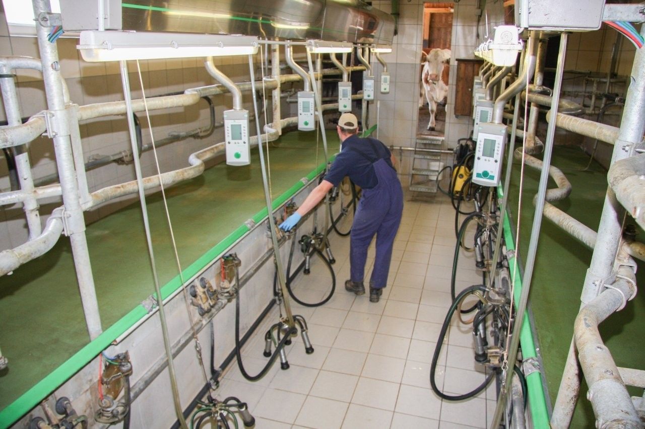 Melkstandprüfung.jpg © Paula Pöchlauer-Kozel/LK Niederösterreich