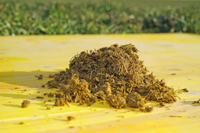 Gülleseparation .jpg © Hatheier