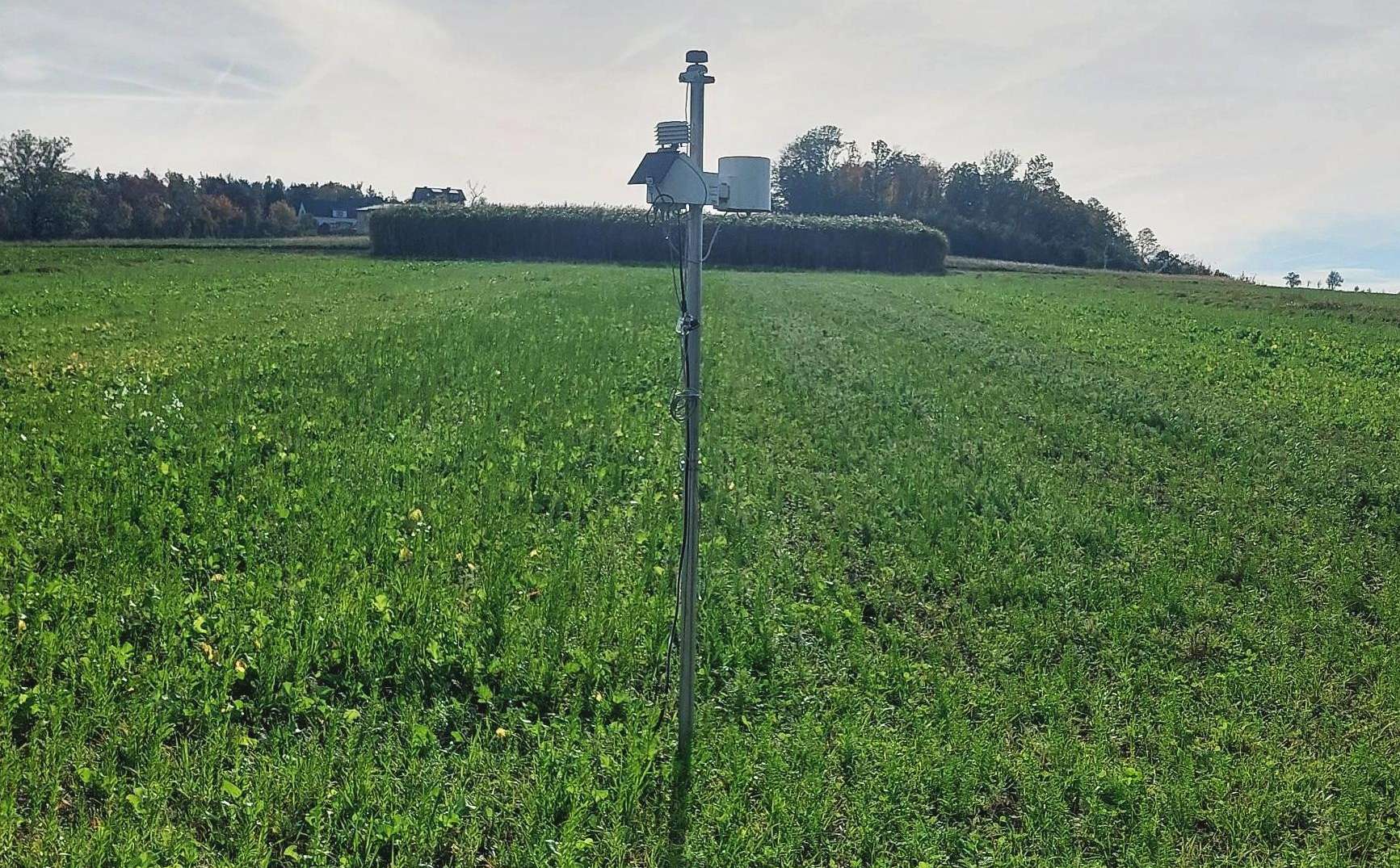 Wetterstation direkt am Versuchsfeld .jpg © BWSB