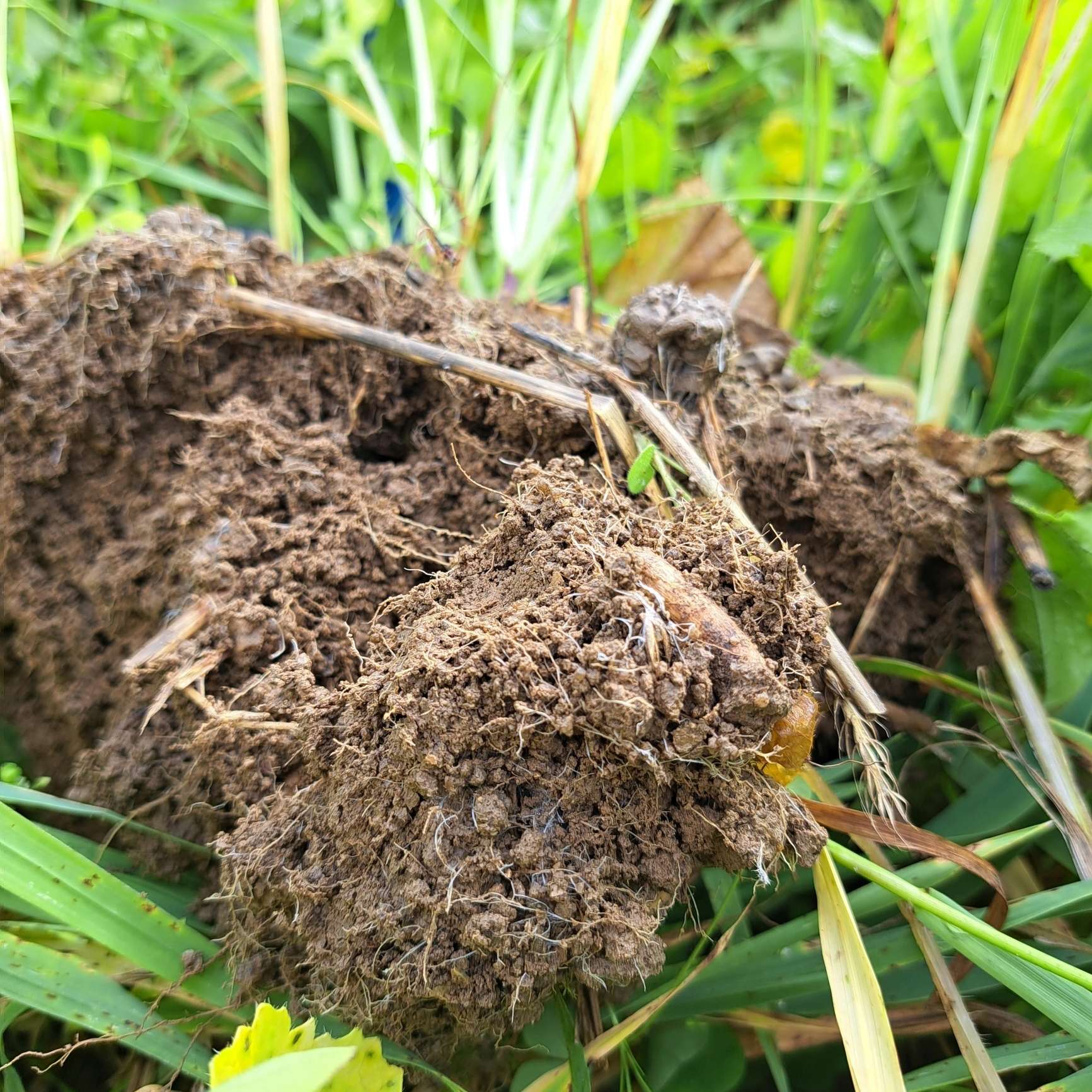 Bodenstruktur ist das A   O.jpg © BWSB