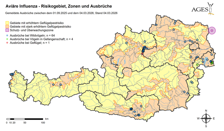 Geflügelpest Ausbrüche (Stand: 4.3.2026) © AGES