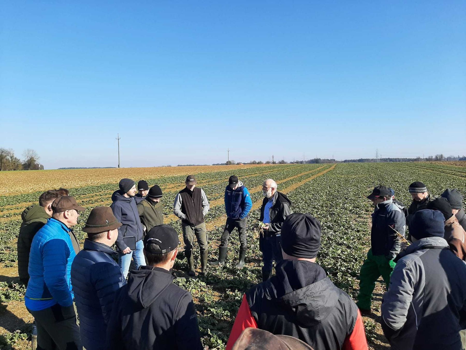 Eindrücke von der Arbeitskreis-Feldbegehung bei Betrieb Mauhart (Gmd. Sipbachzell) am 5.3.2026
- Kulturführung bei WW, WG, Triticale und Raps
- Abgefrosteter Zwischenfruchtbestand mit winterharten Winterrübsen
- Triticale in Mulchsaat nach Körnermais
- Wintererbsen © BWSB