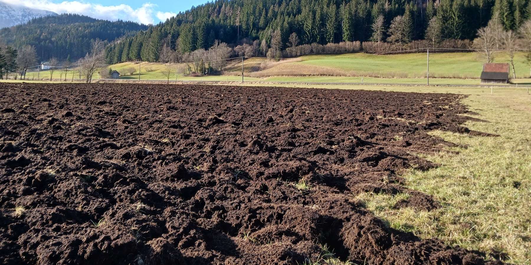 Grünlandumbruch.jpg © LK OÖ/Mandl
