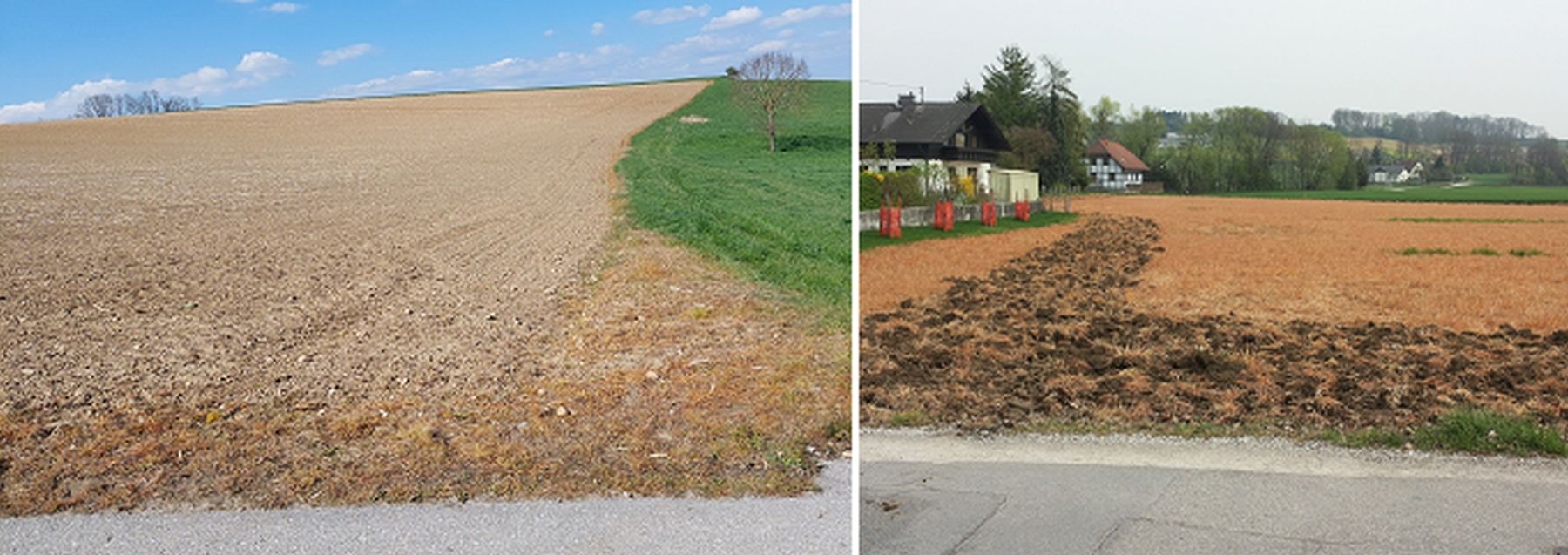 Glyphosat_Straßenrand.jpg © BWSB/Wallner