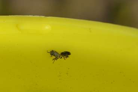  &copy; LK OÖ/Köppl