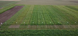  &copy; BWSB/Falkensteiner