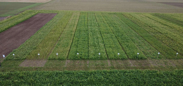  &copy; BWSB/Falkensteiner