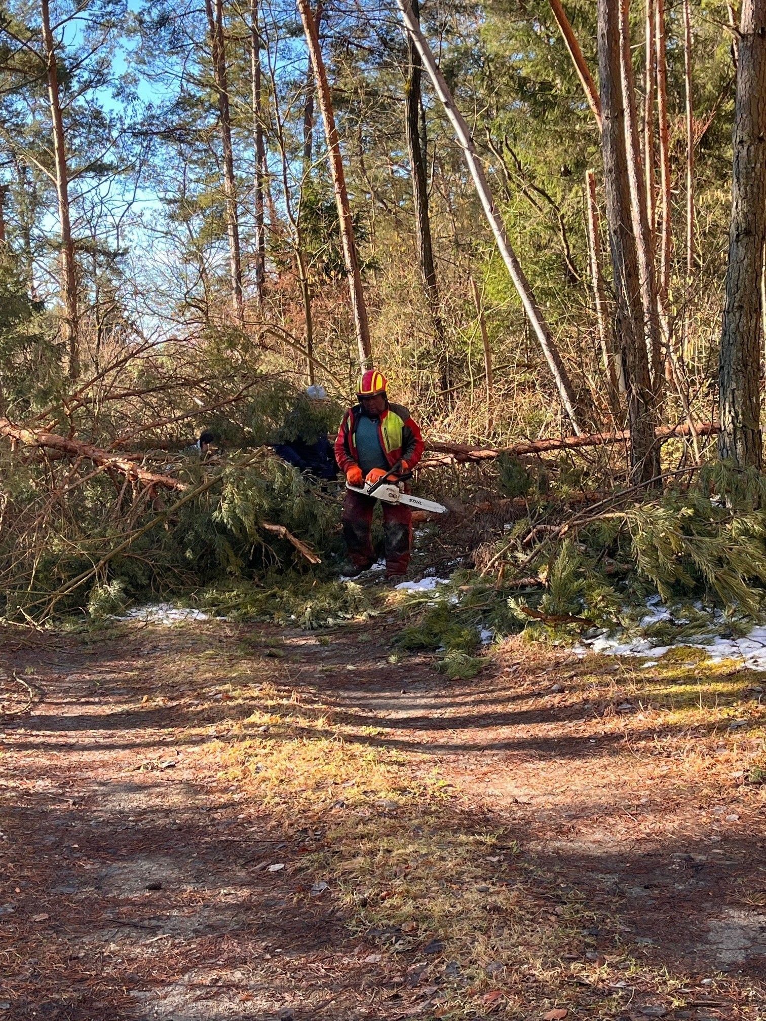 Schneebruch_1.jpg © DI Herbert Stummer