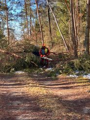 Schneebruch_1.jpg © DI Herbert Stummer