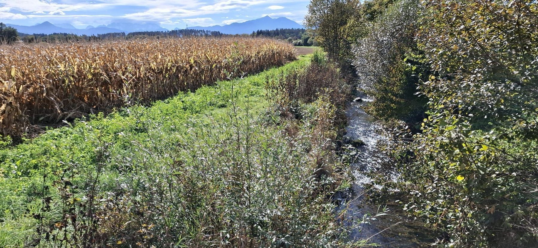 Grundwasserschutz@Petritz.jpg © Petritz